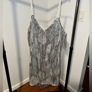 Silver Sequins Fringe dress